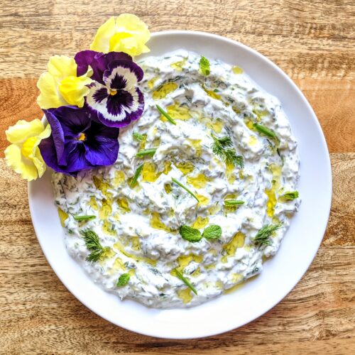 Yogurt Dip with Fresh Herbs drizzled with extra-virgin olive oil and garnish with fresh mint, chives, and dill