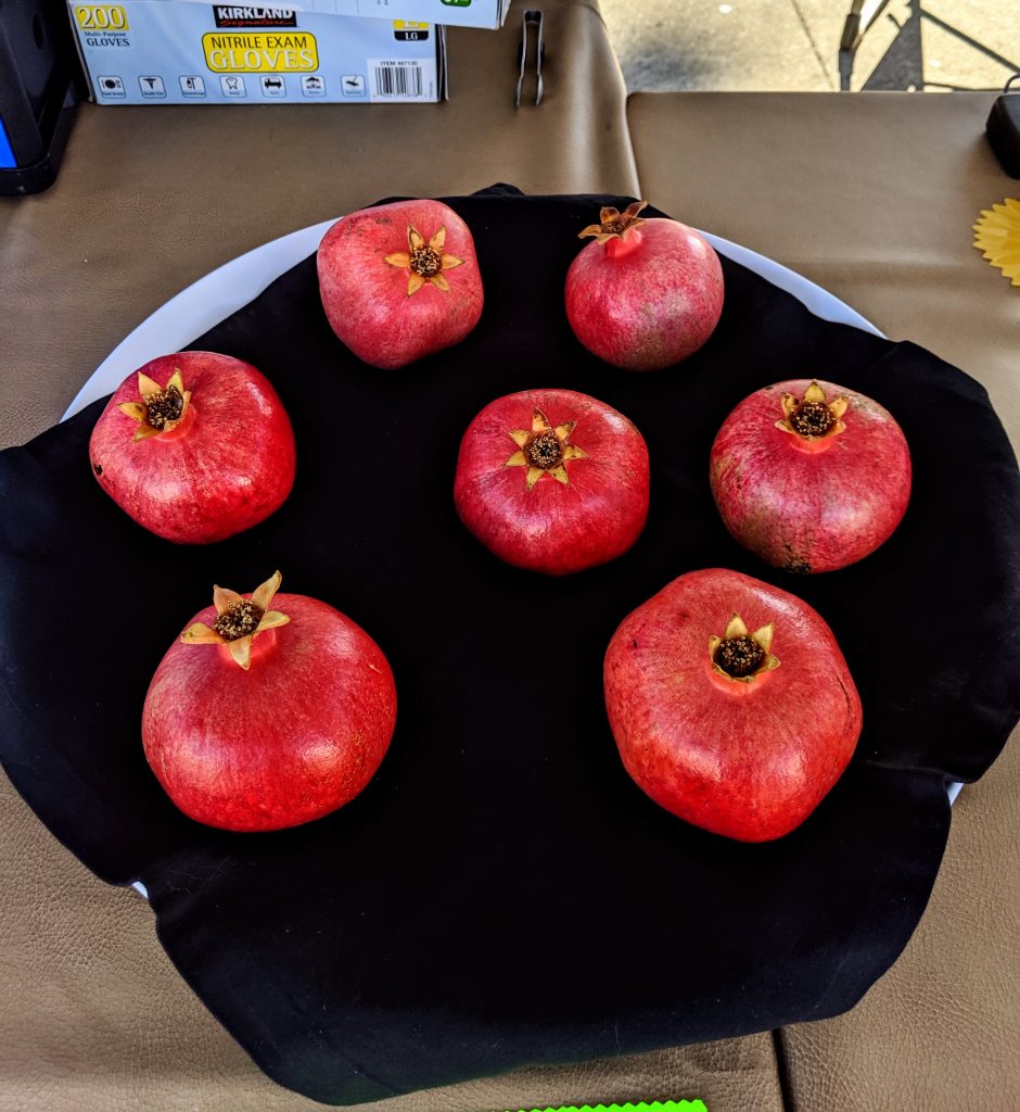 A tray of seven organic pomegranates at the Farmers Market in San Francisco. The tray is lined with a black linen napkin and the pomegranates are vibrant red.