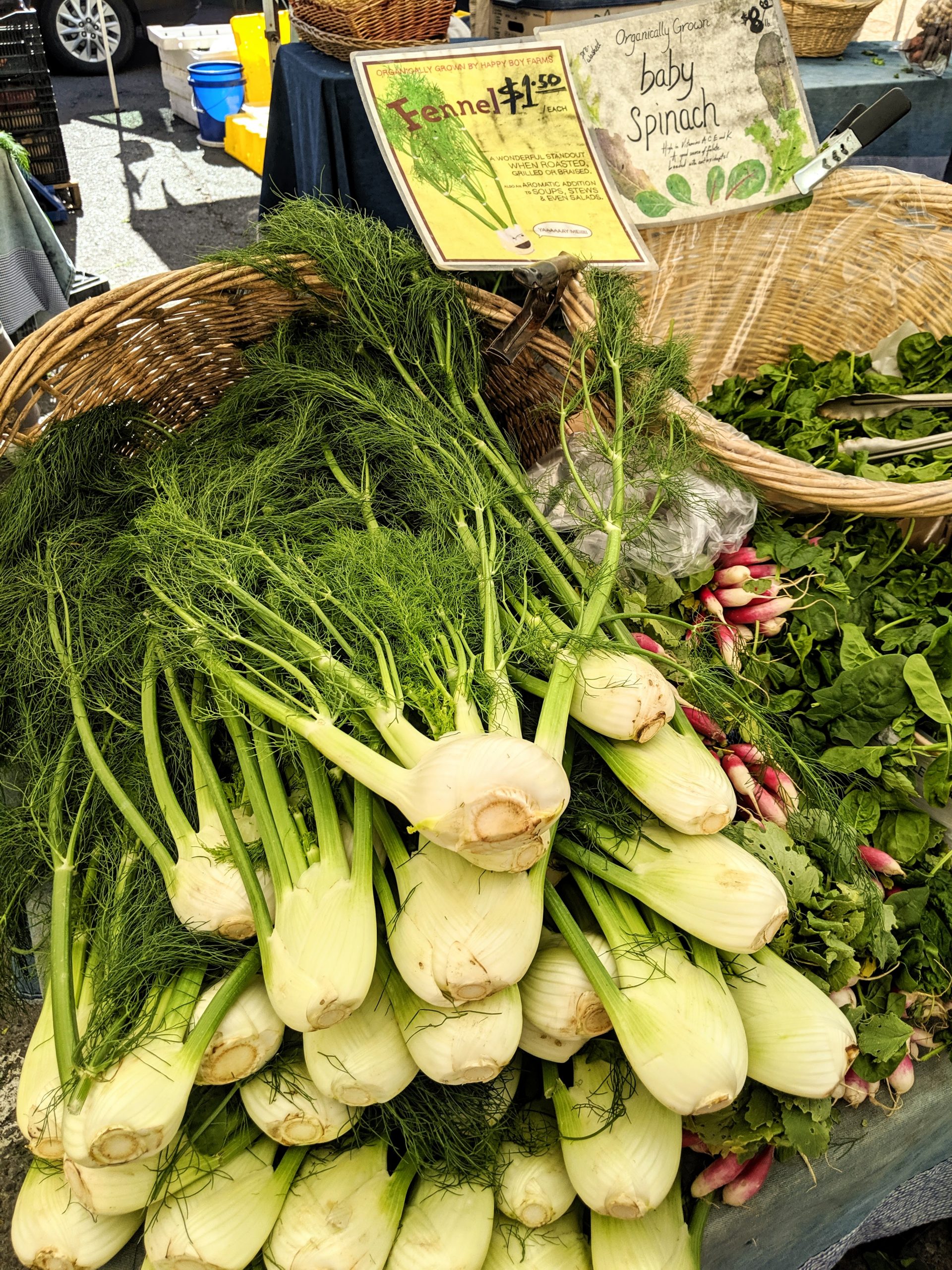 A basket full of fennel at the Farmers Market in San Francisco