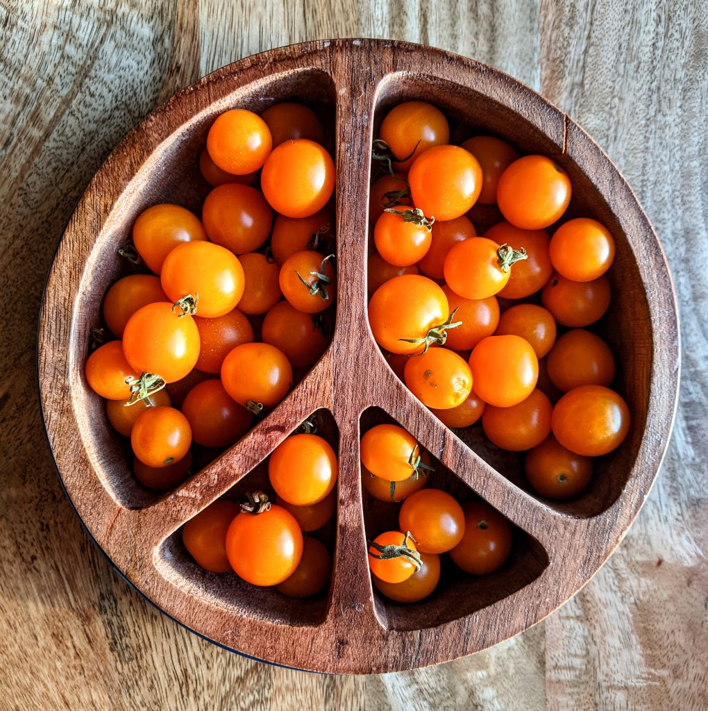 Sungold tomatoes in a peace sign shaped wooden serving bowl.