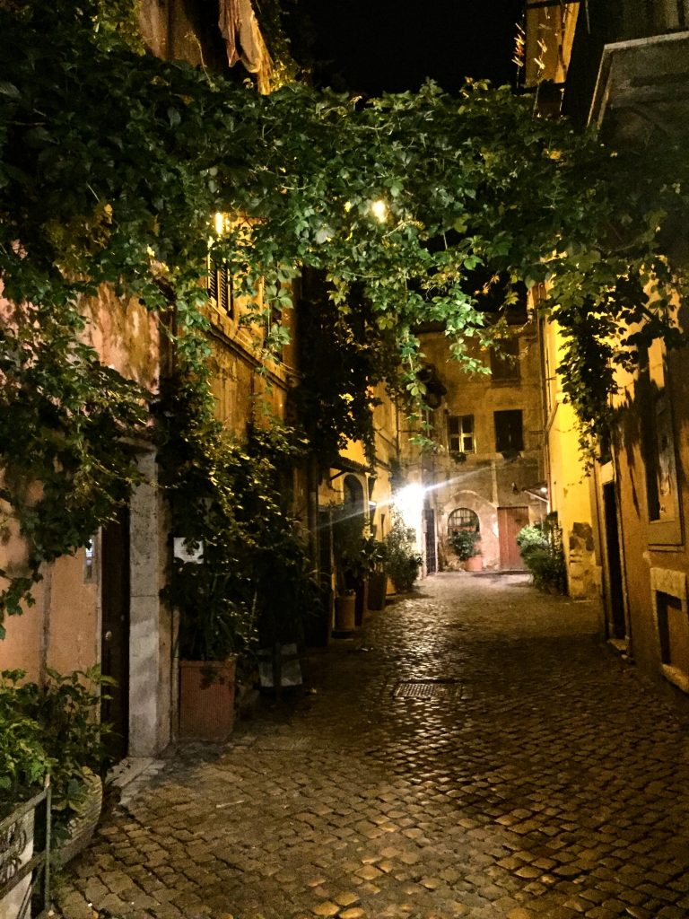 Greenery growing in a Roman alleyway.