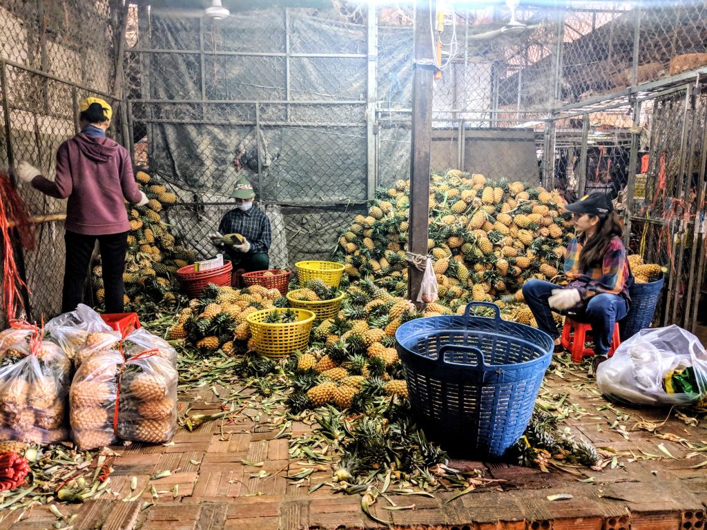 A sea of pineapples in Southeast Asia.