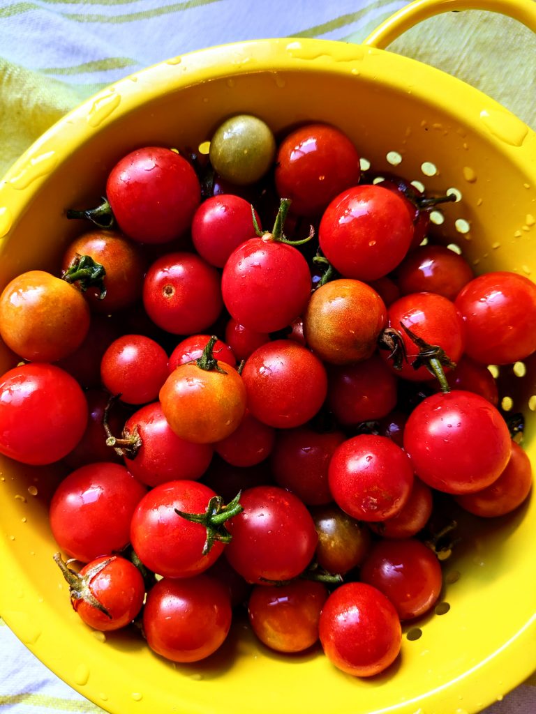 A yellow strainer full of cherry tomatoes that have just been washed.