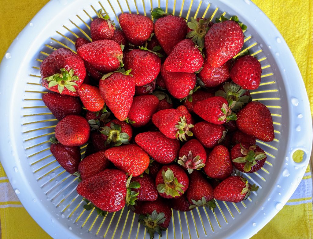 Freshly washed strawberries.