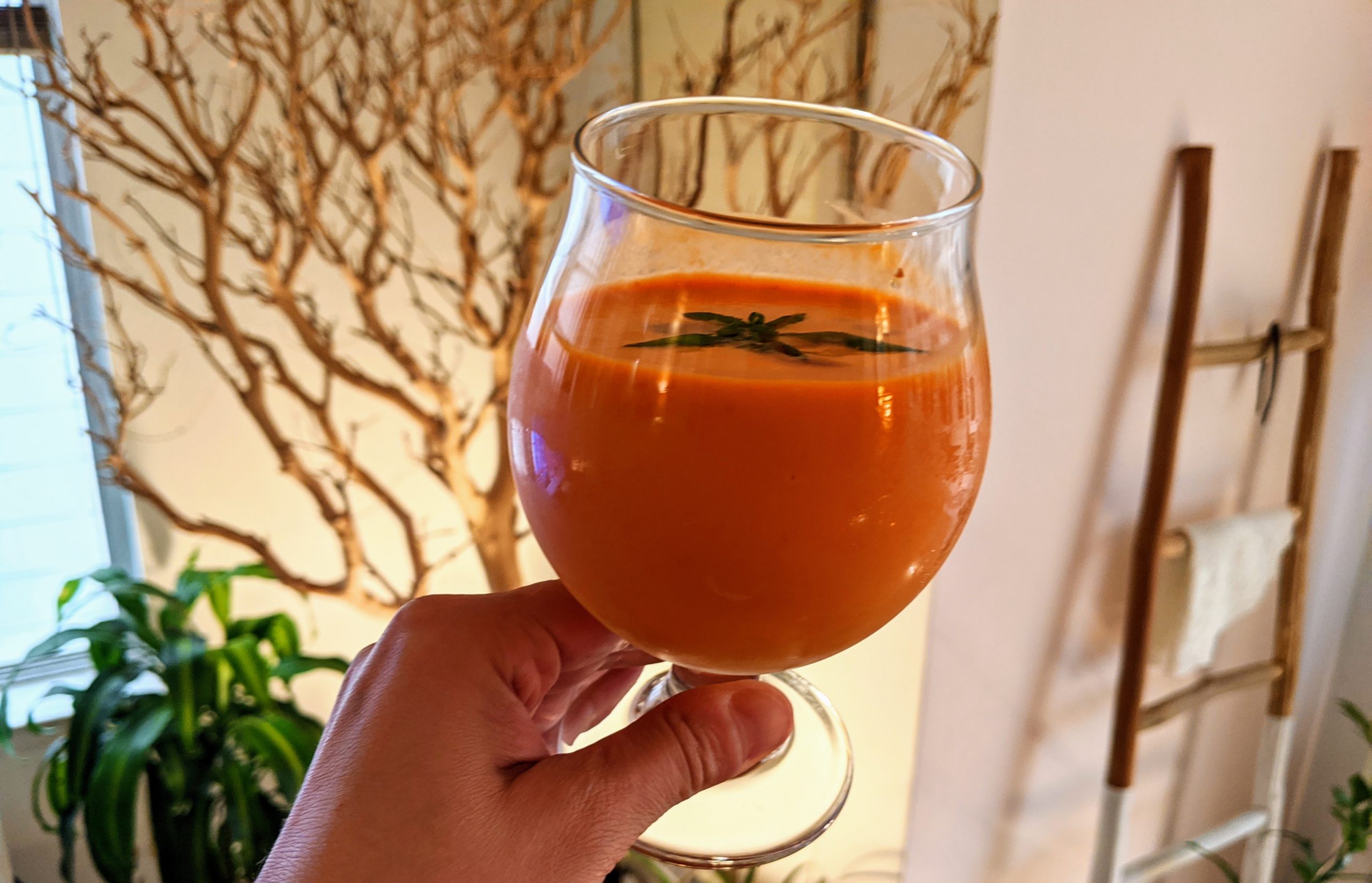 A glass full of Andalusian Gazpacho.