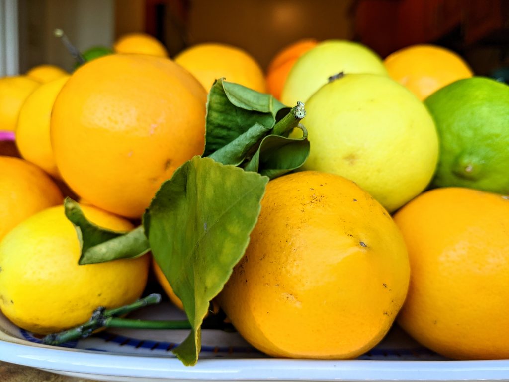 A tray of organic lemons from my friends tree in San Jose, California.