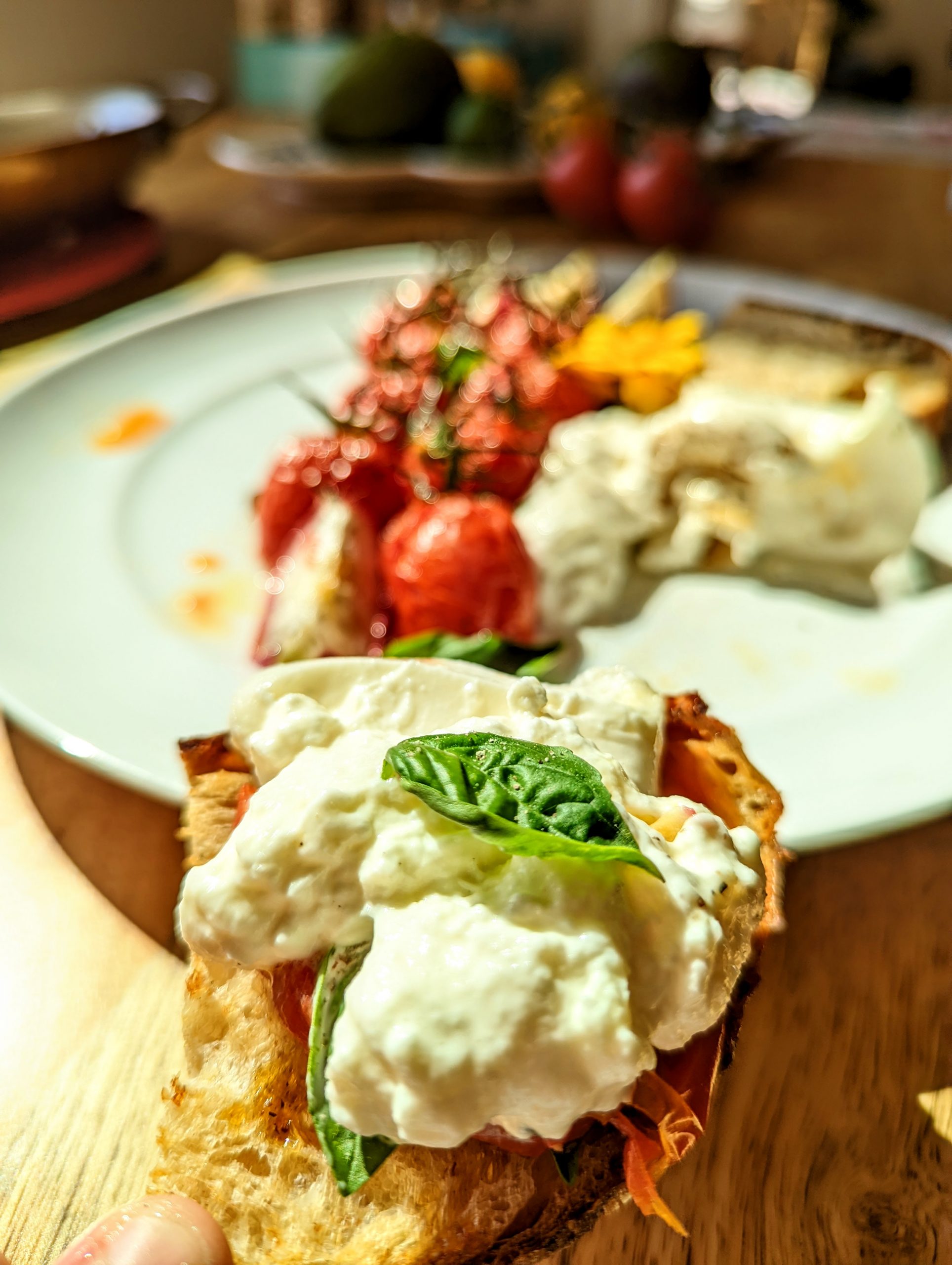 Roasted Tomato And Radish Salad With Burrata - Spicy Gelato Kitchen