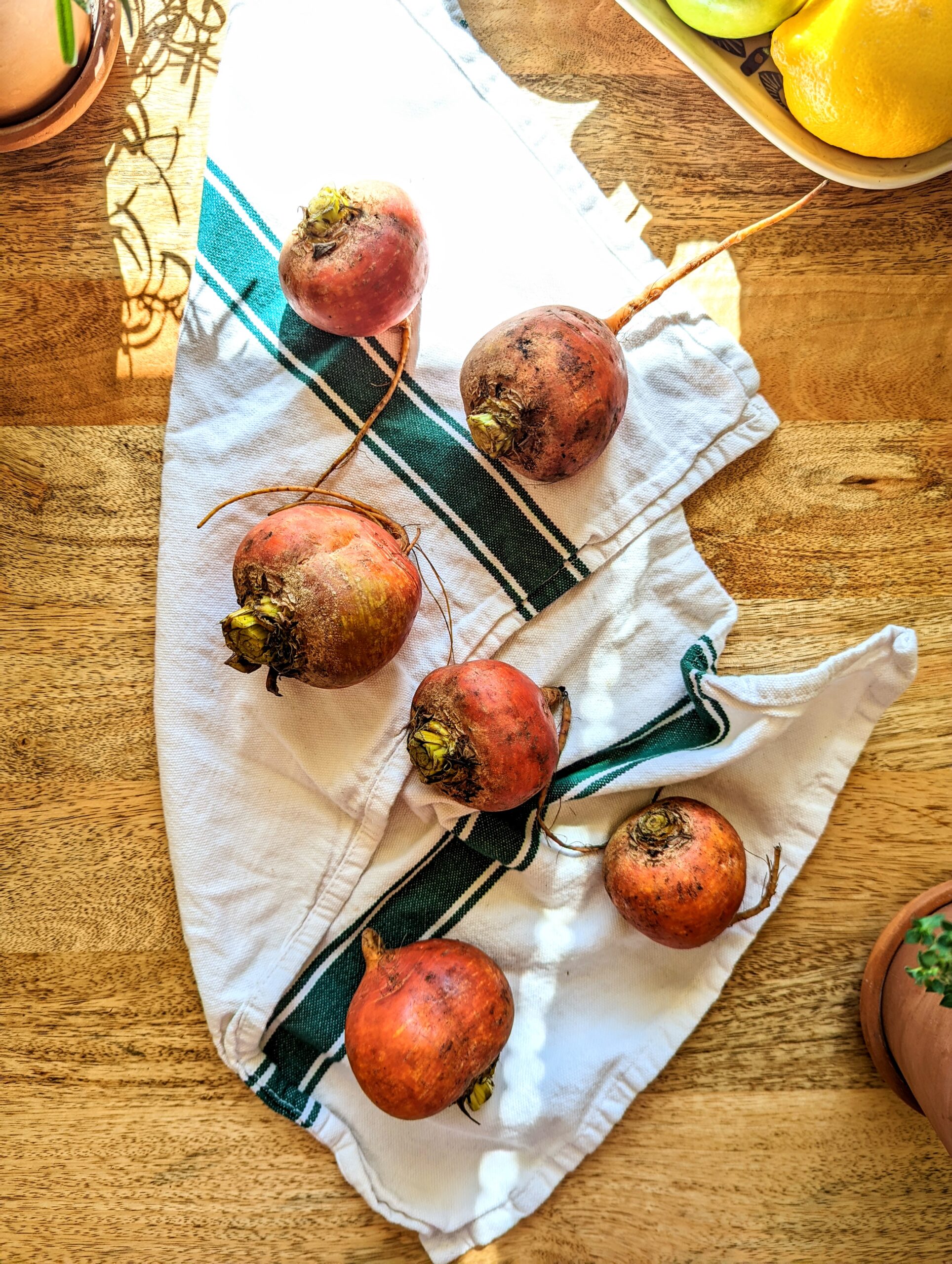 Six whole golden beets resting on a white and green kitchen towel.