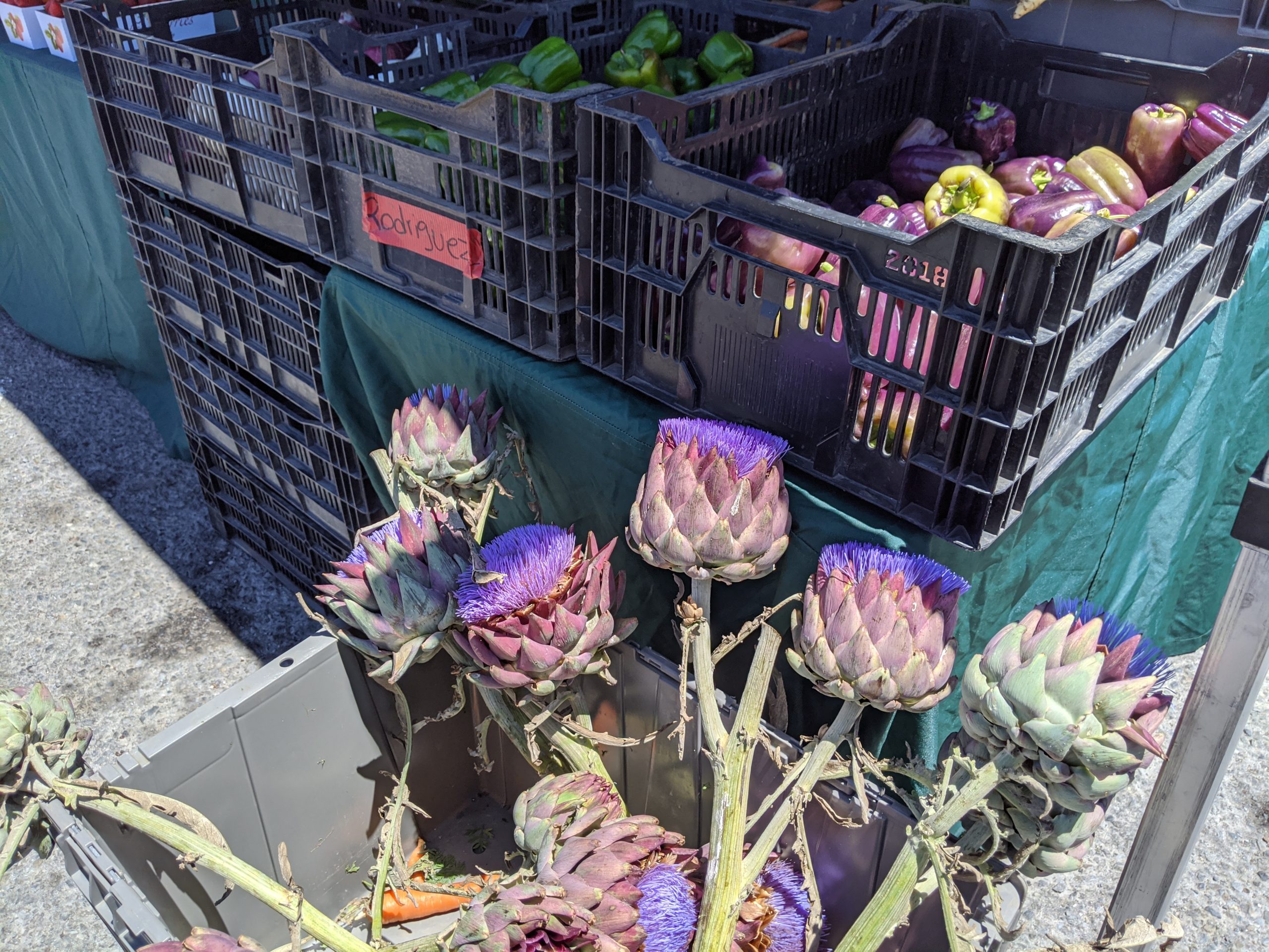 A crate of purple artichoke flowers at the farmers' market.