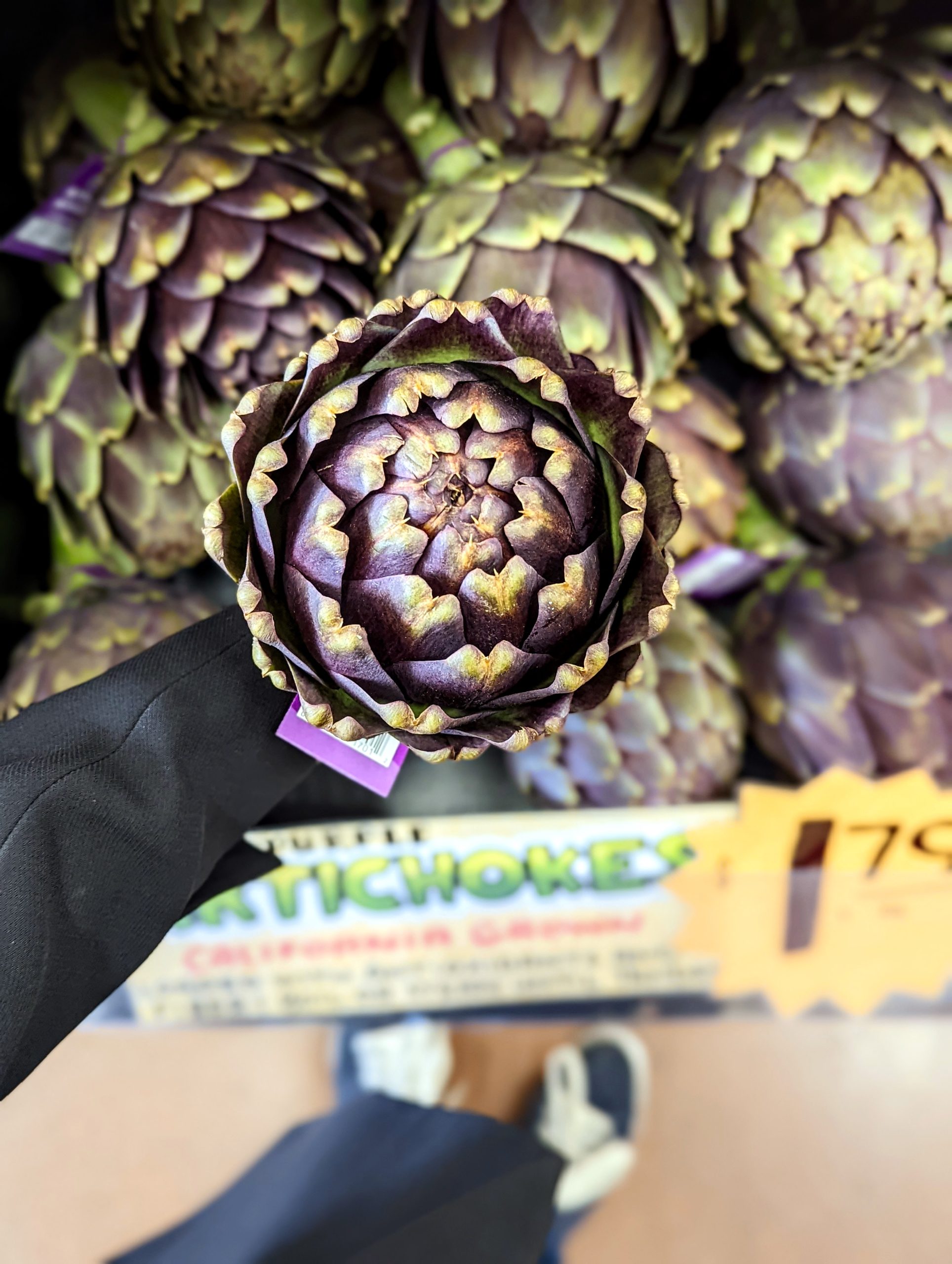 Holding an intricate purple and green artichoke from above like a flower.