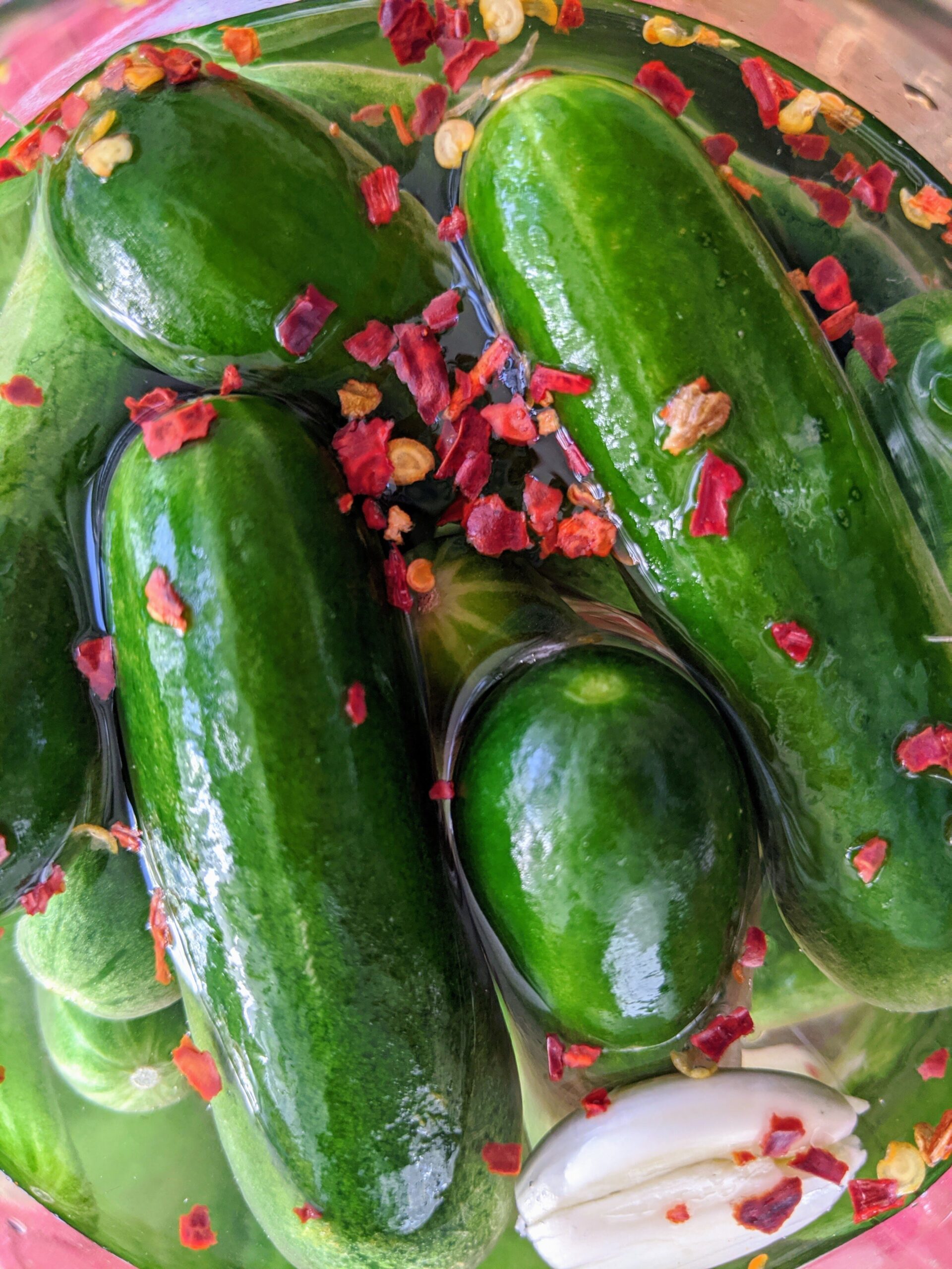 A close up of homemade dill pickles. Bright red chili flakes and a whole clove of garlic can be seen in the photo.